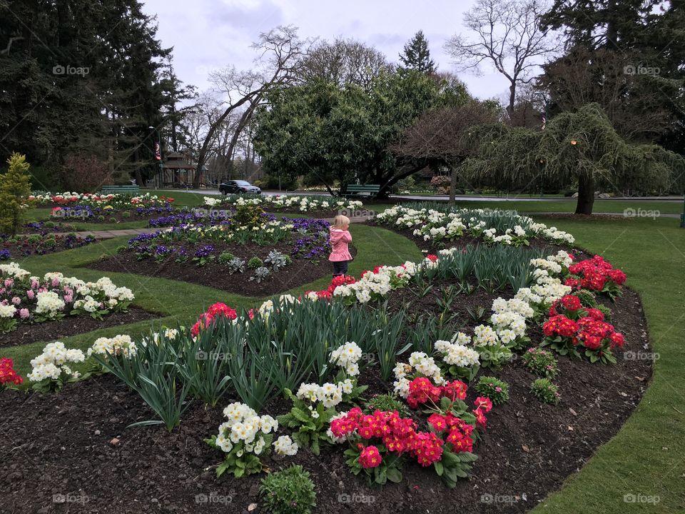 Little girl adoring the flowers 