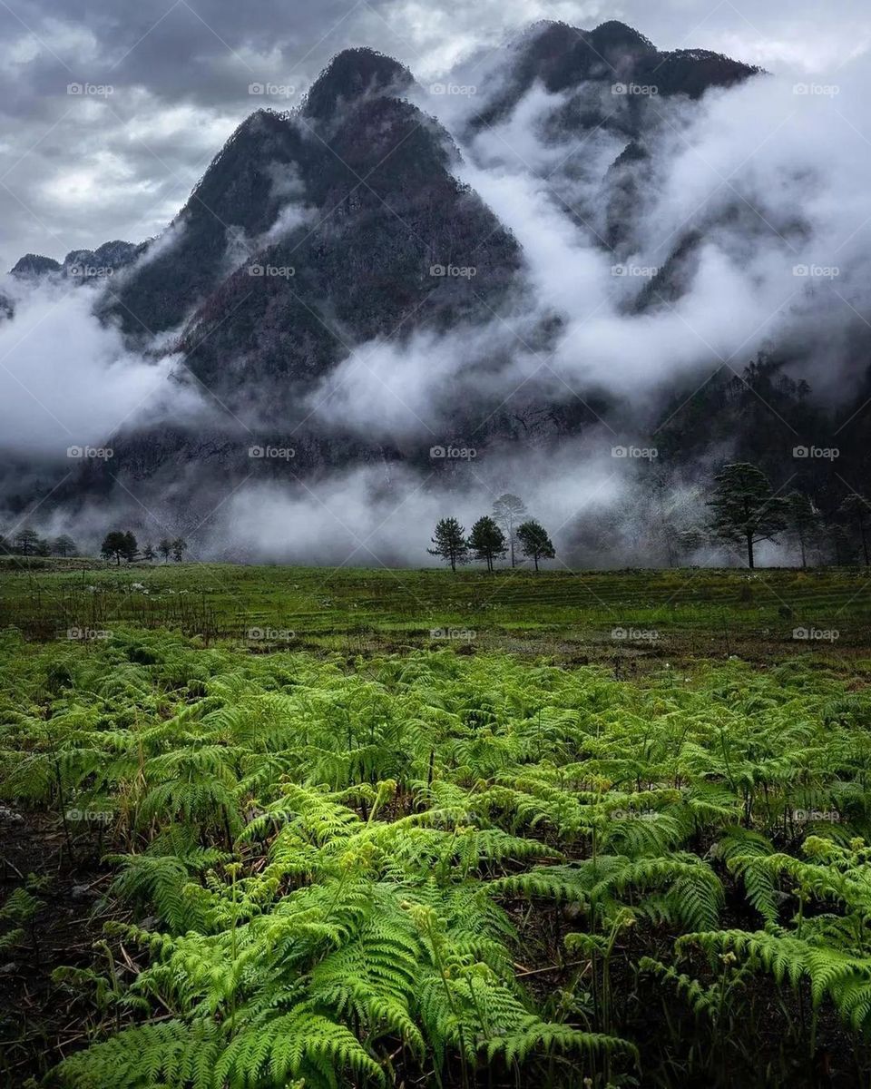 monsoon season when mountains are covered by fog is cold❄️