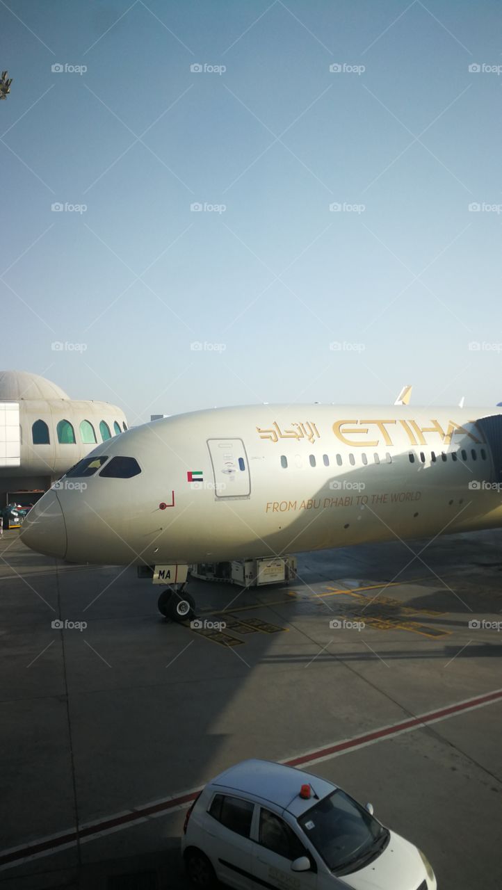 Etihad Dreamliner at Gate in Abu Dhabi