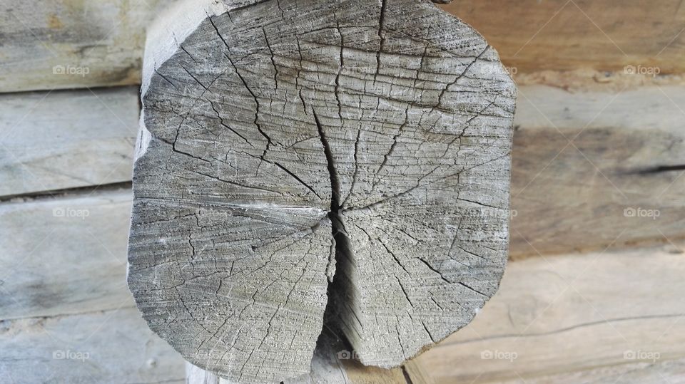 Old wooden log.