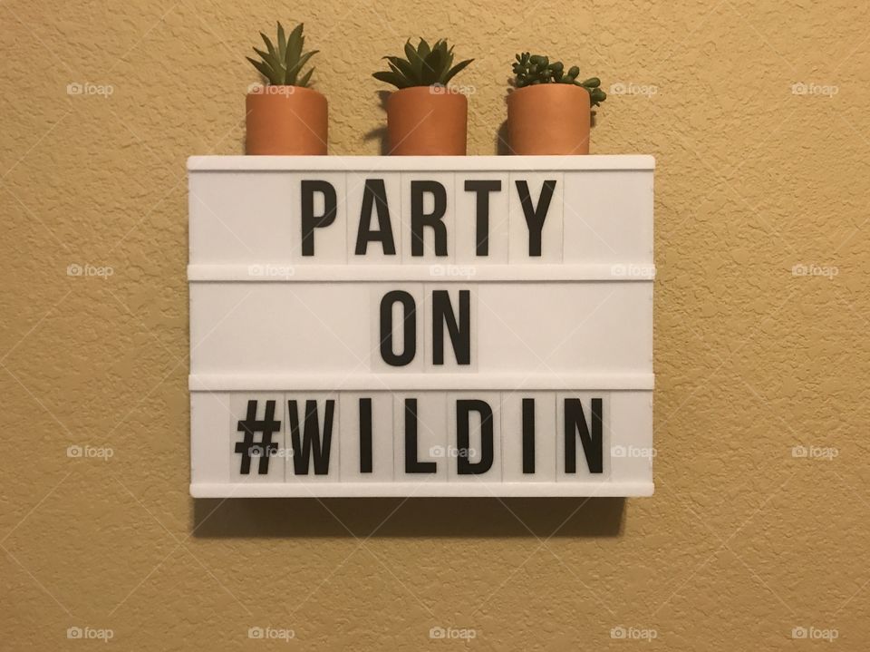 Wild child saying with succulent plants on top of the sign . Party on Wildin. #WILDIN