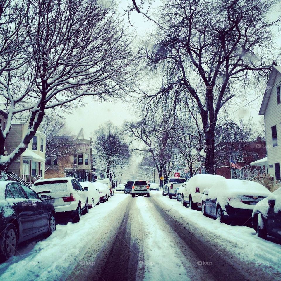 Snowy Chicago