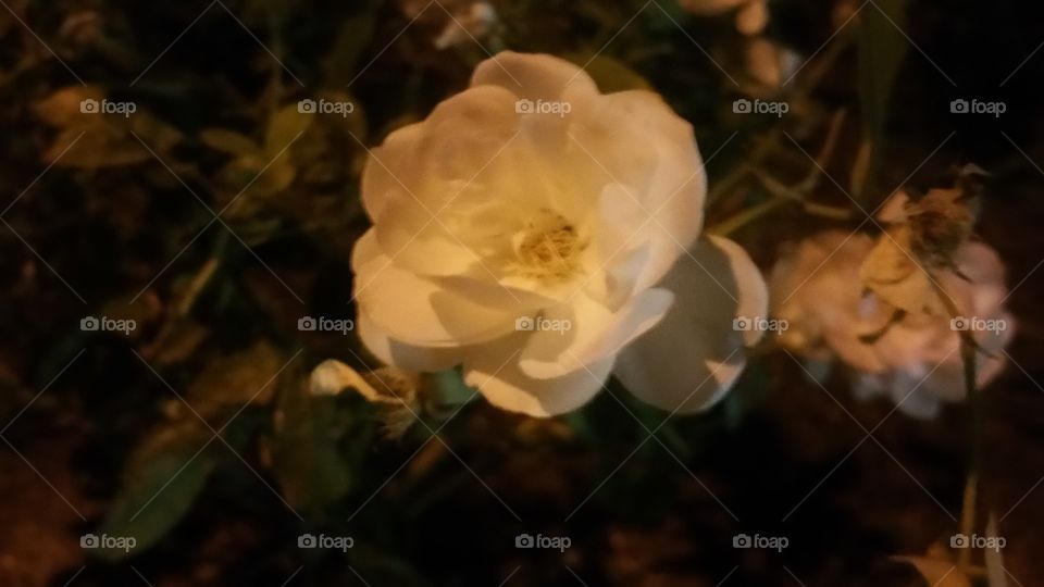 California Orange County Outdoors Winter Sun