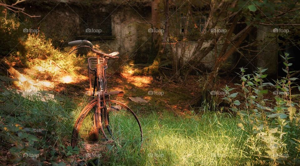 Forgotten Bike
