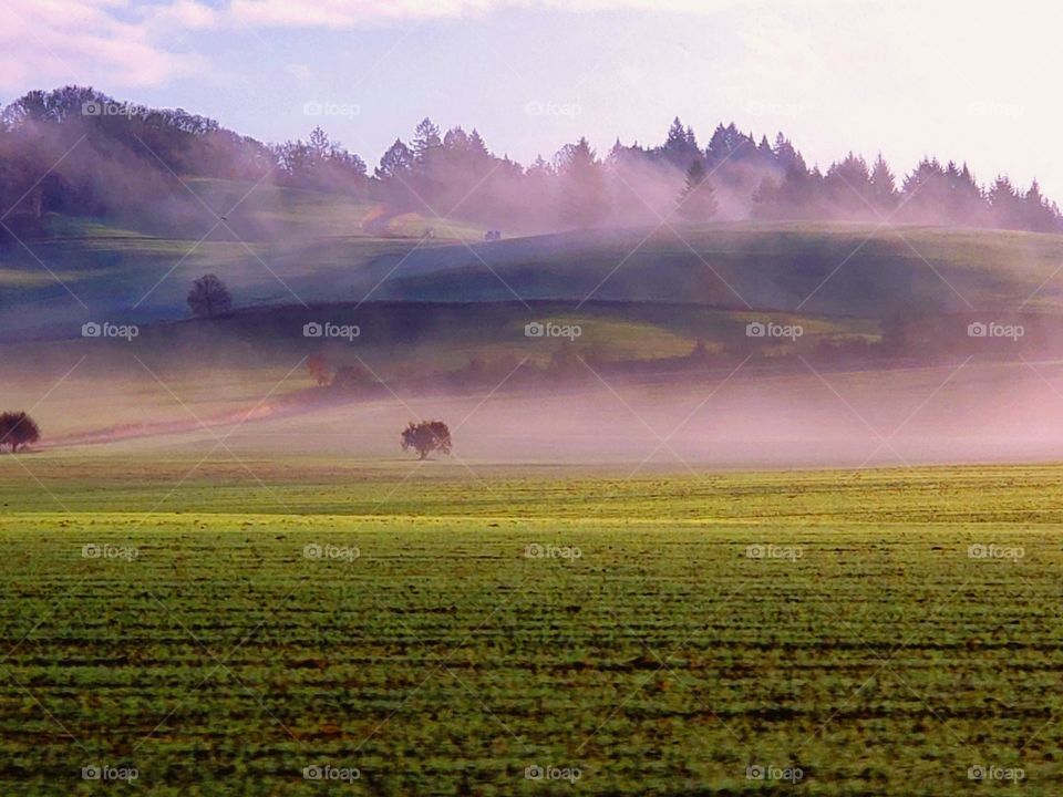 Foggy Sunrise Beauty (2020) my Favorite Sunrises.