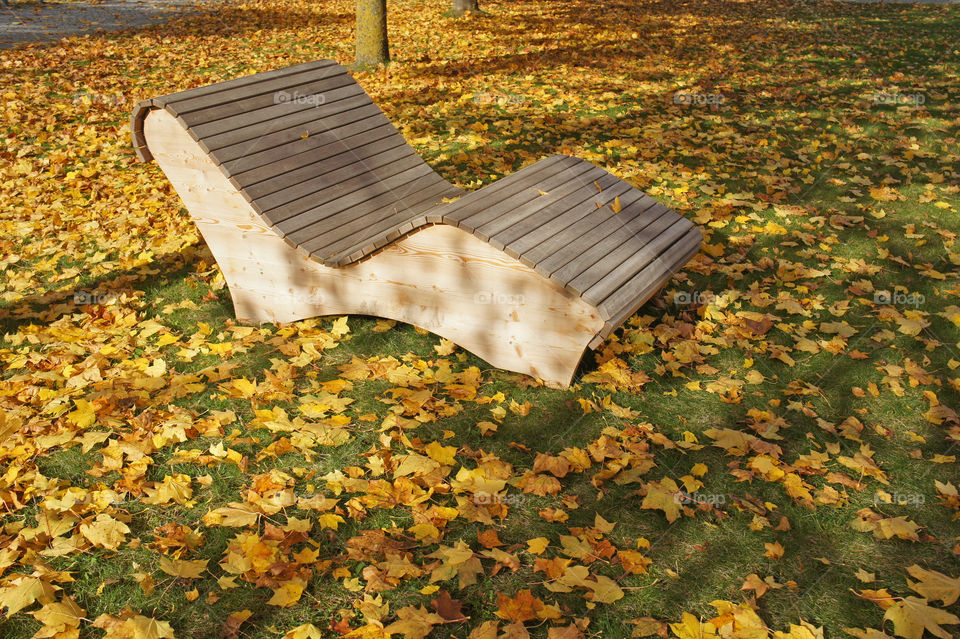 chair and yellow leaves in garden autumn seleave