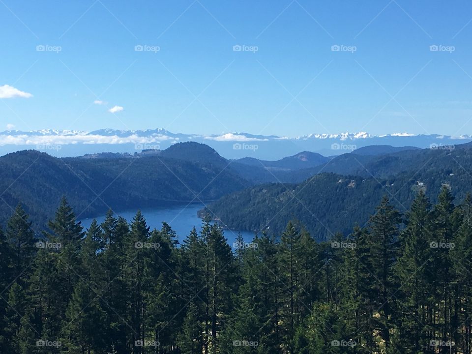 Landscape view of trees and mountain