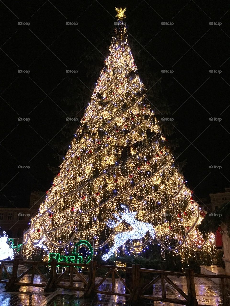 Christmas tree in Brasov, Romania