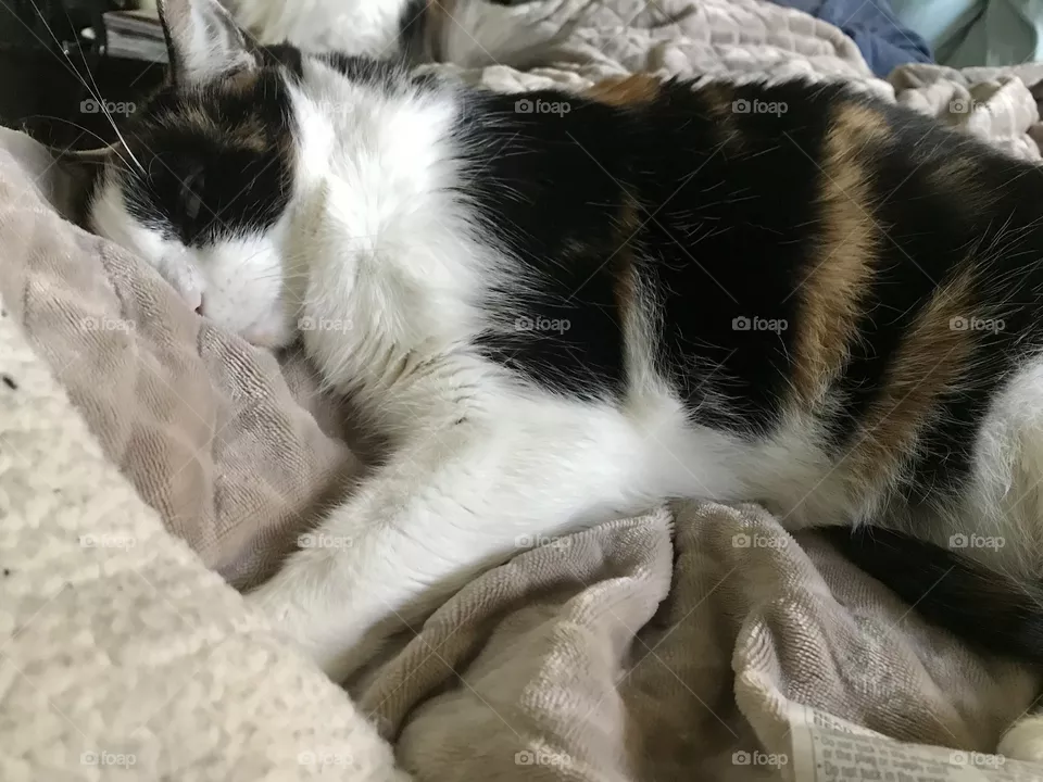 Comfy blanket for a nap
