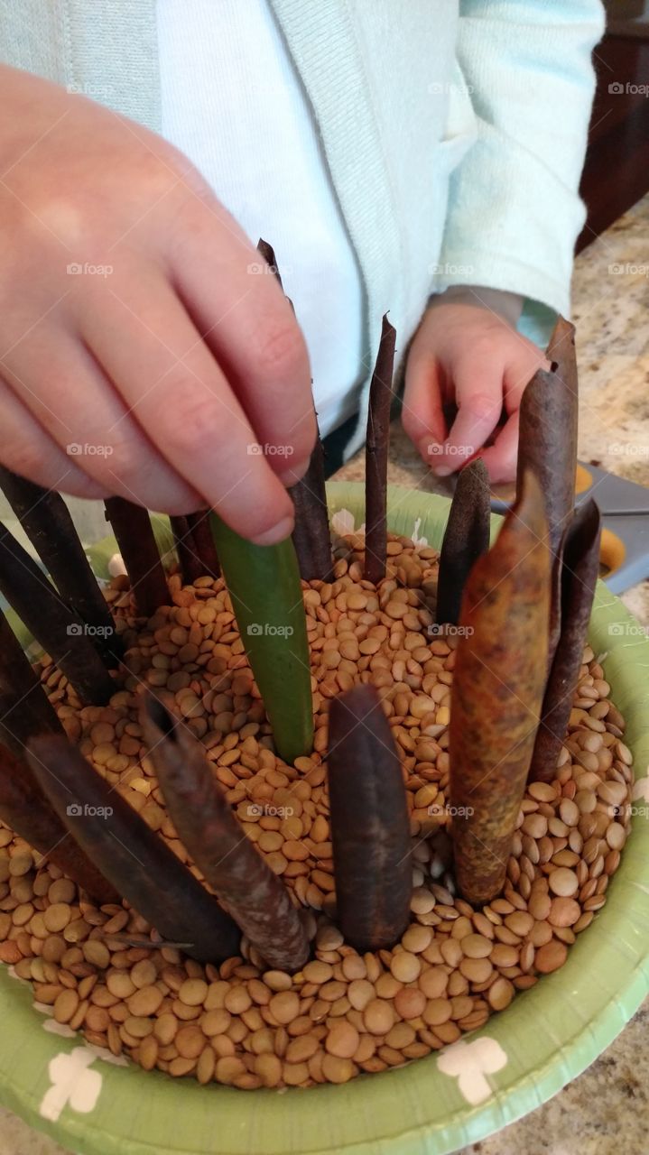 Working Hands Close-up