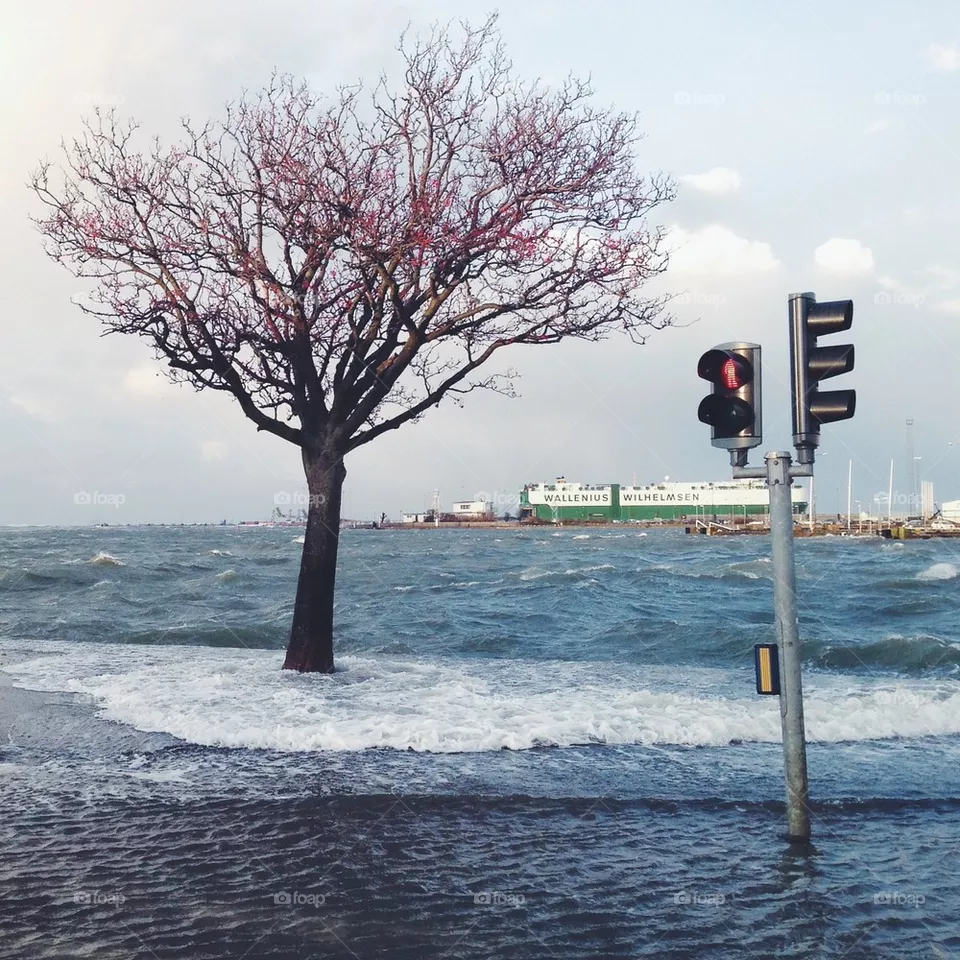 Storm