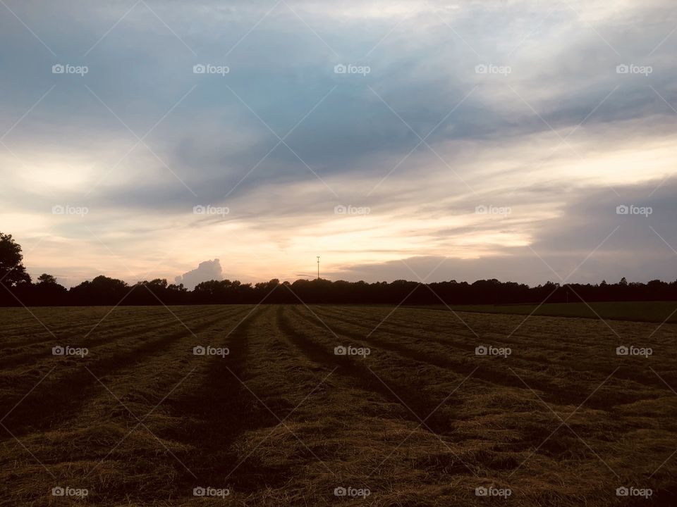 Sunset on a mowed field 