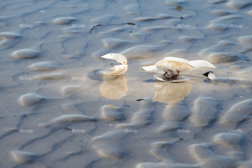 No Person, Beach, Sand, Water, Seashore