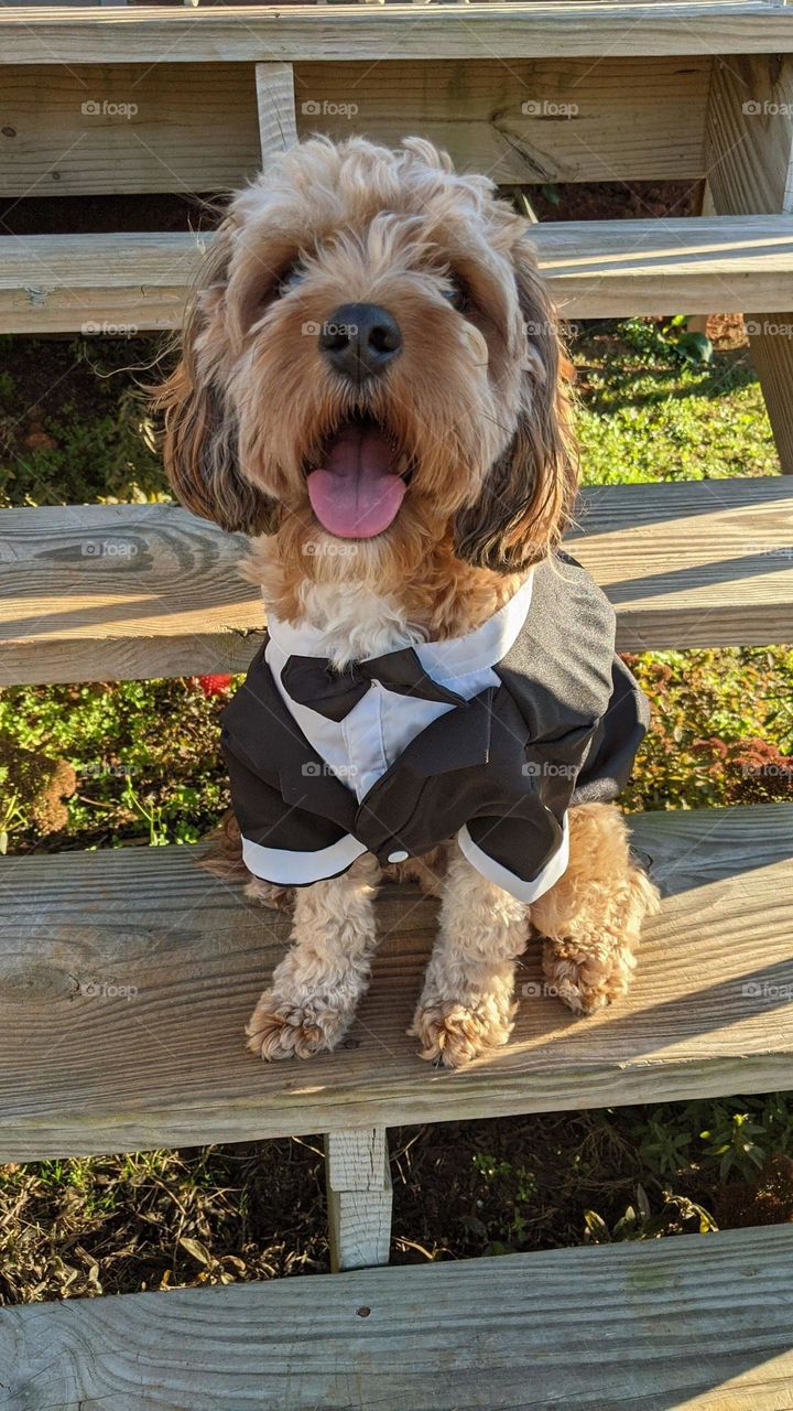 dressed up and ready to party