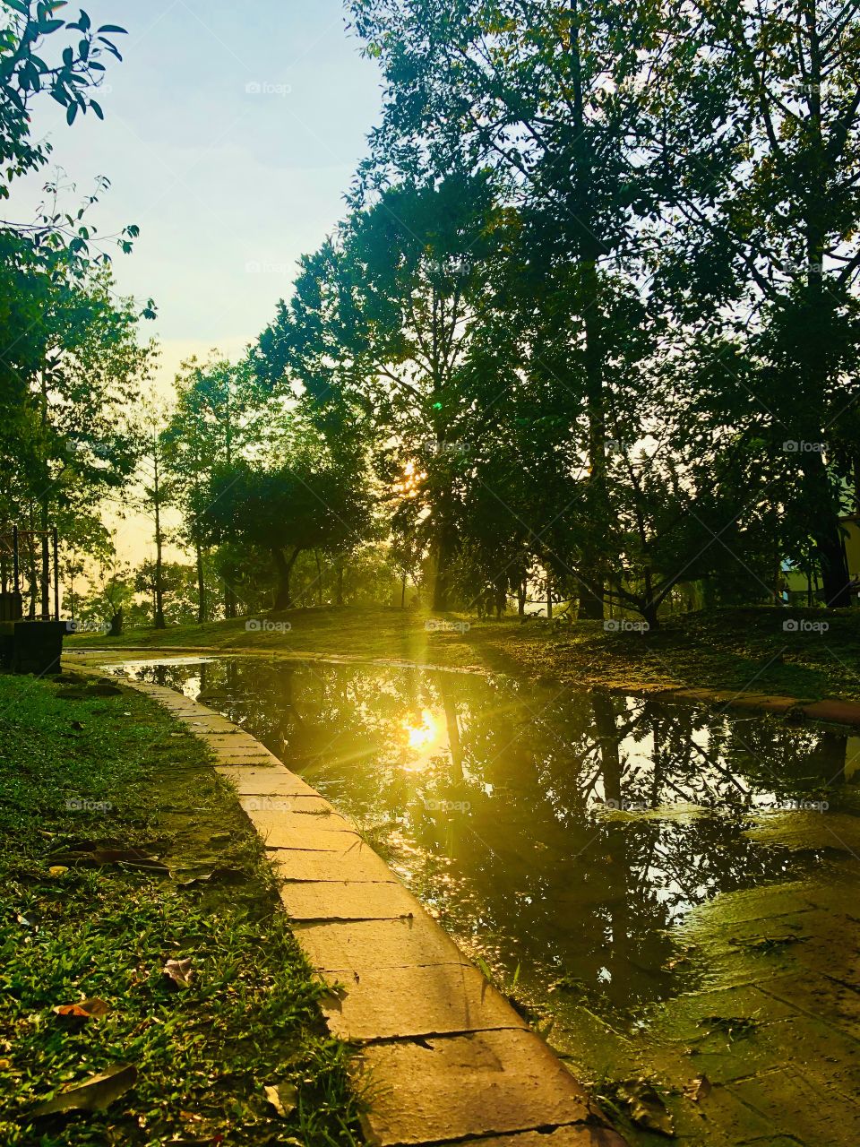 Silhouette of Morning Sun 