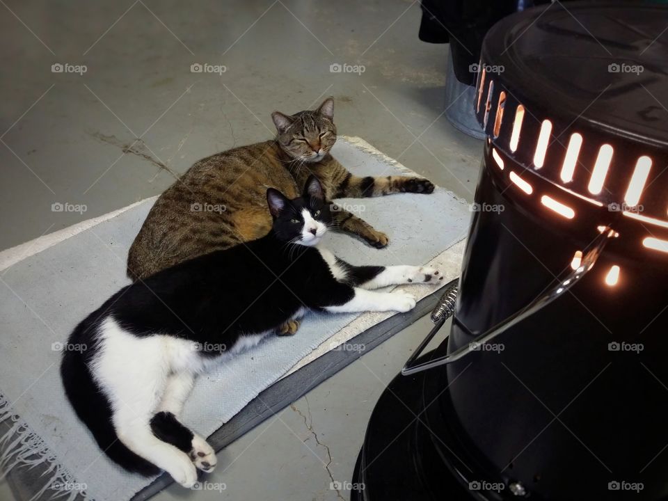 A brown tabby and a black and white cat enjoying the heater in winter on a rug inside