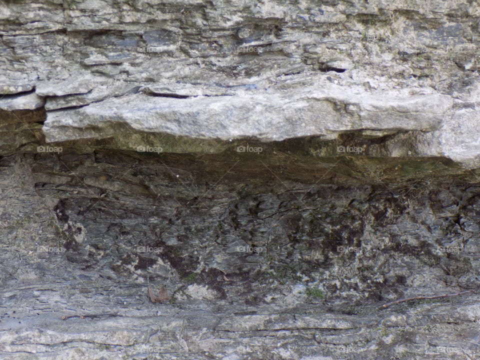 The foot of the aceh halimon