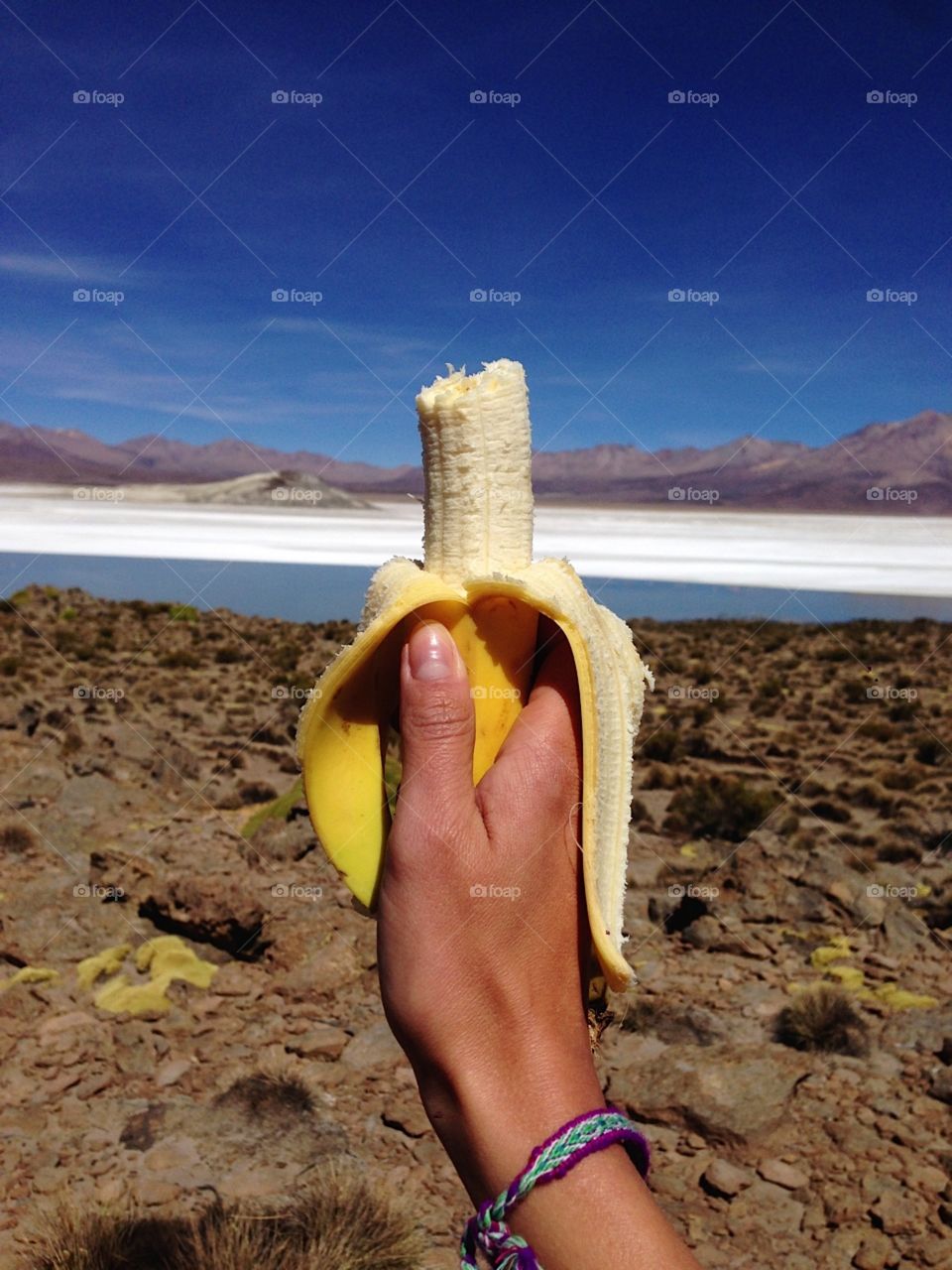 banana lover 