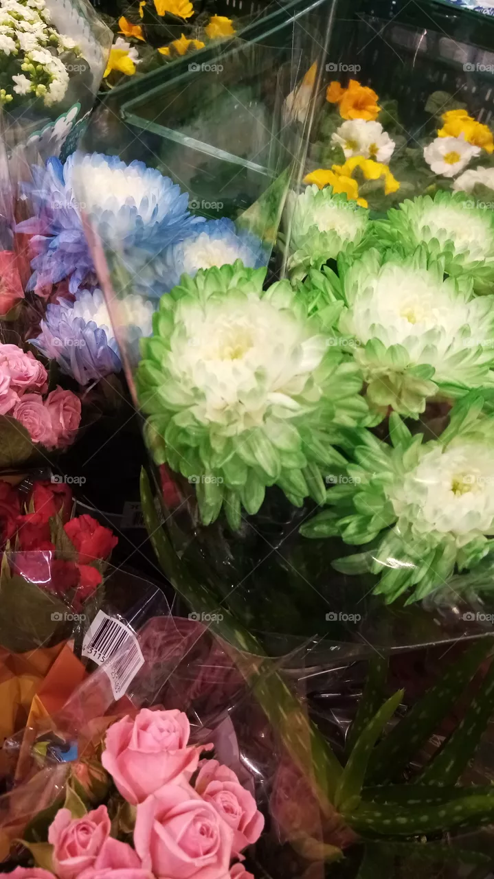 Blumen Germany