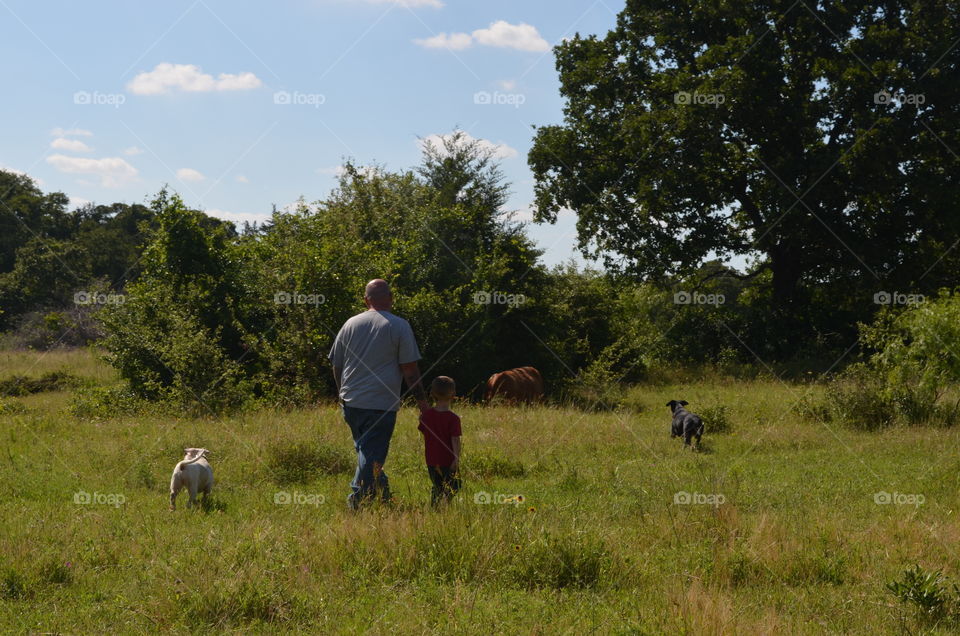My husband and grandson walking in a cow field with a dog to see the cows