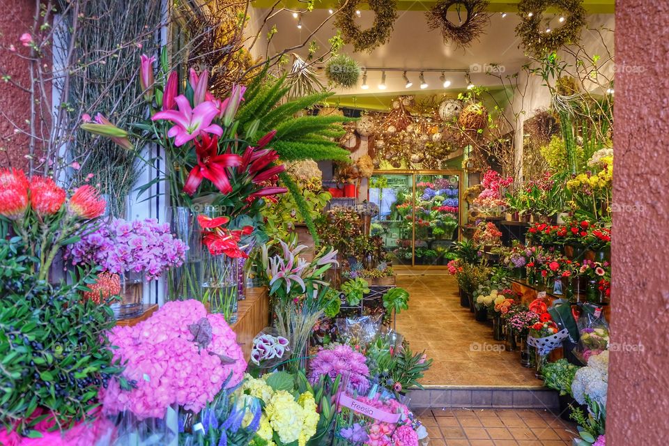 A florist shop in San Francisco displaying too many options for me to decide which flowers I want to buy.