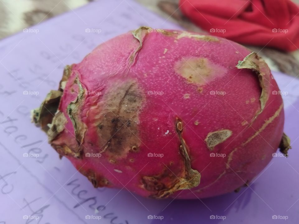 dragon fruit