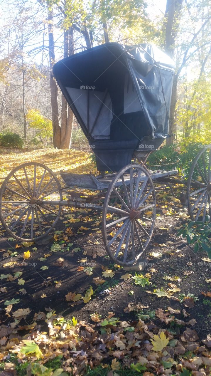 old carriage