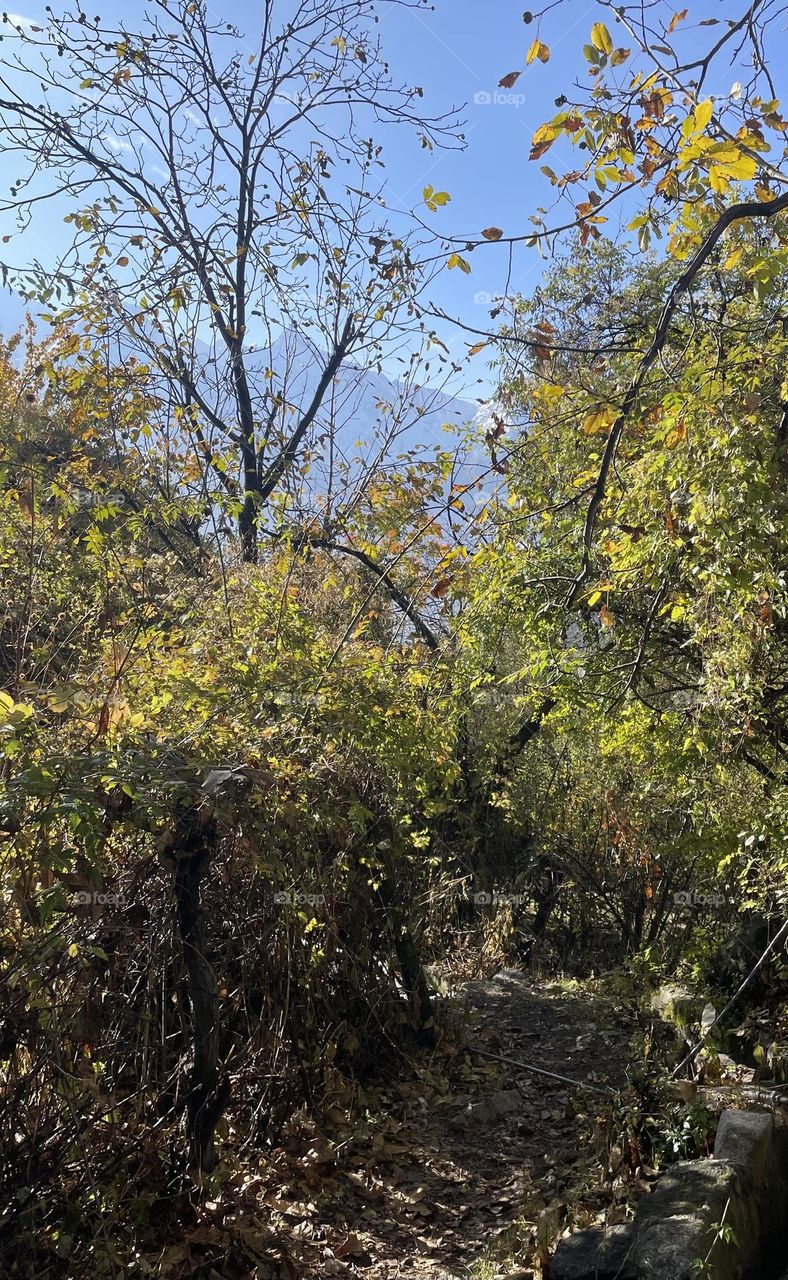 A pathway to harmony 