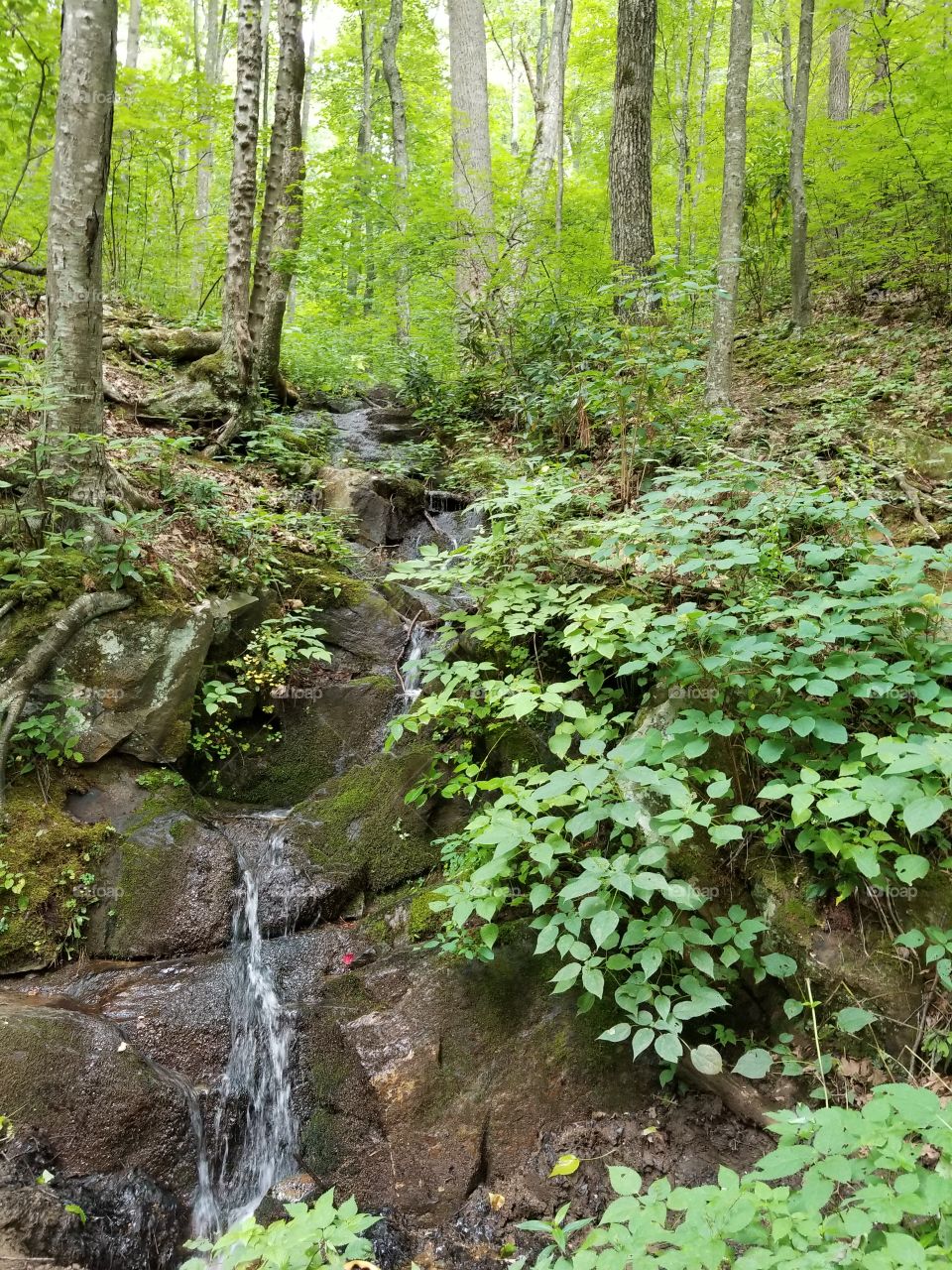 Small stream of water in the mountains.