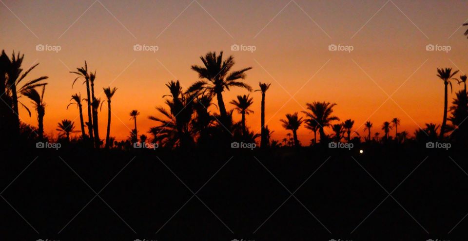 Moroccan sunset in the desert 