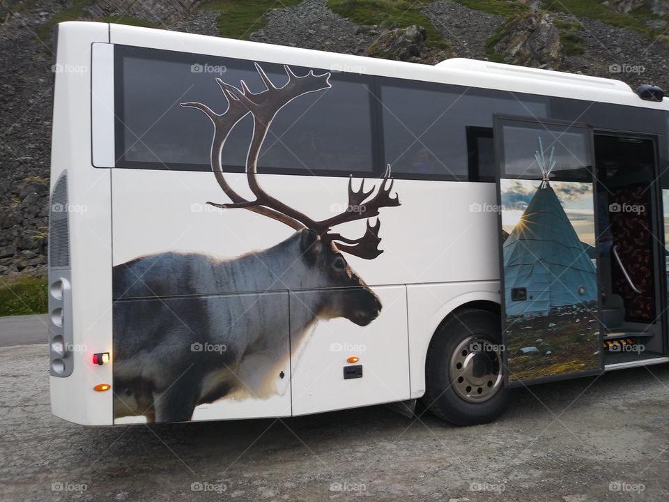 Reindeer Bus