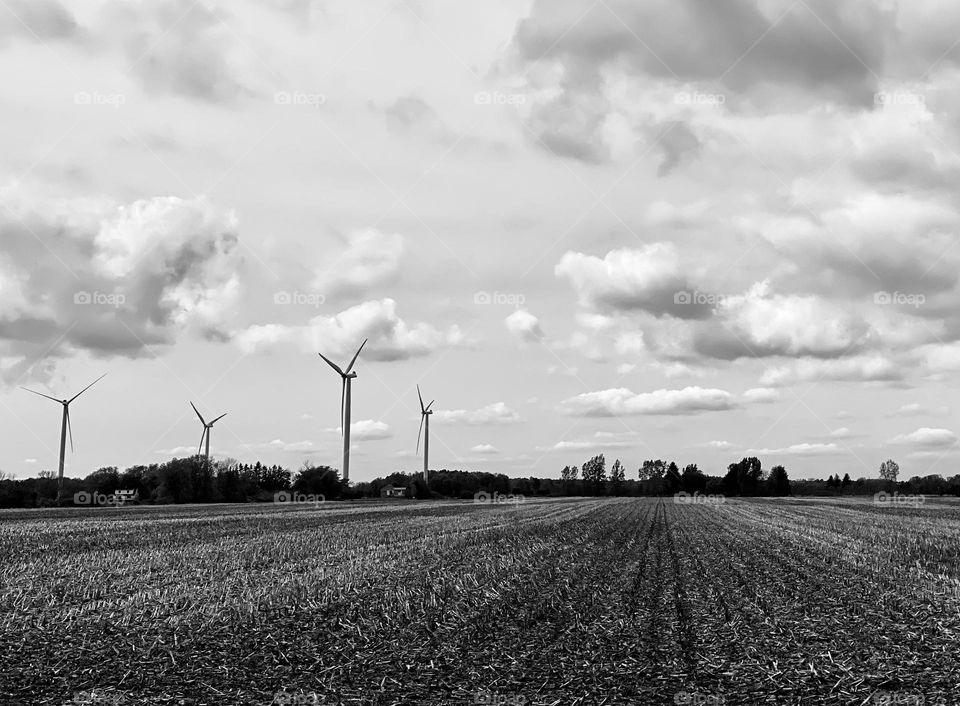 Forever… memories of the field 