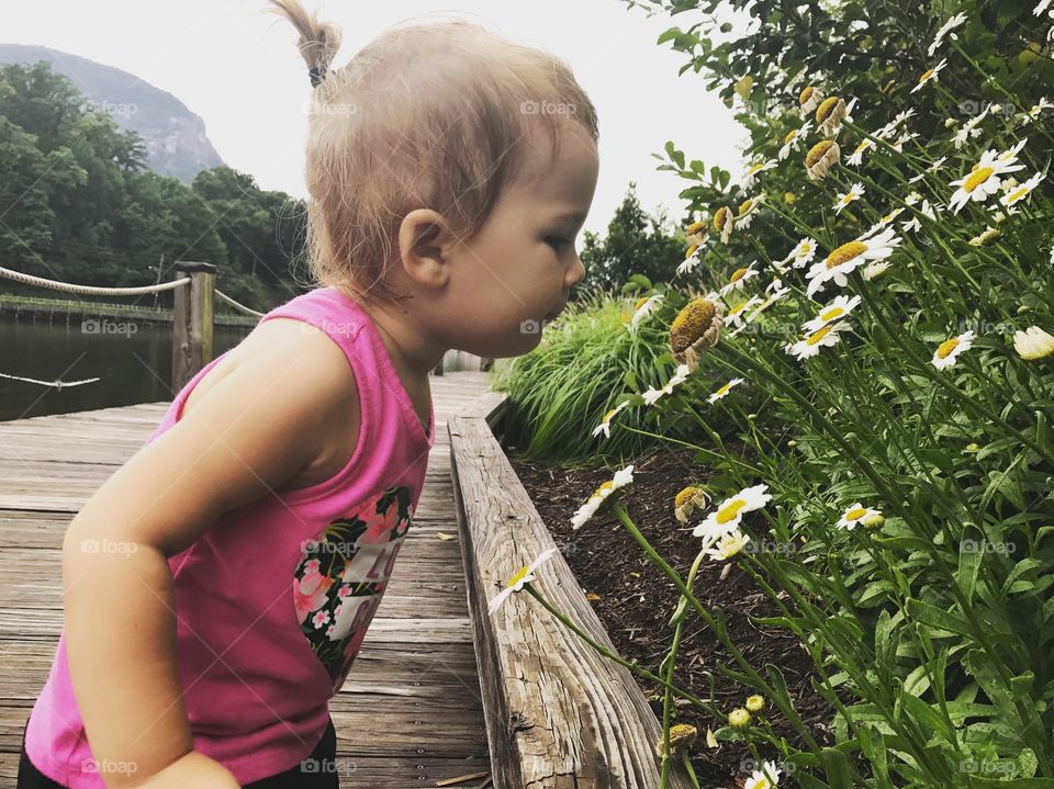 Stop to smell the flowers 