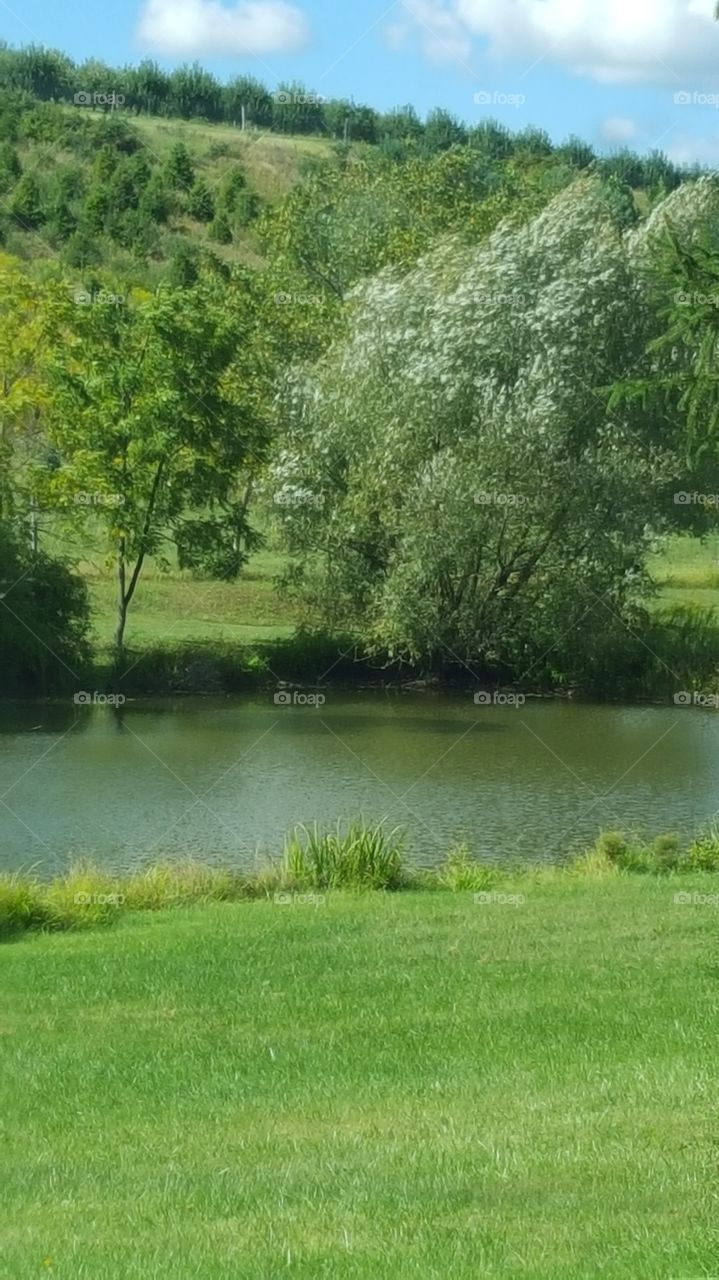 country  pond
