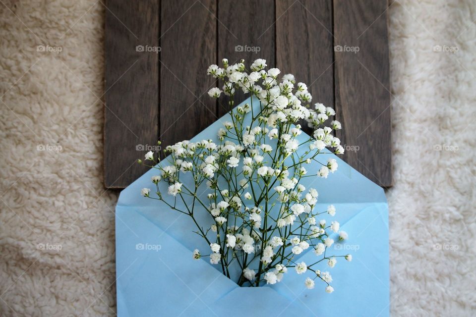 flowers in a blue envelope cozy background