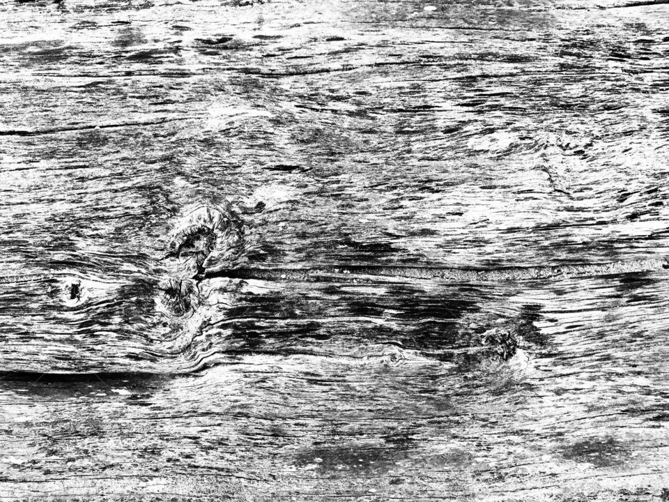 Black and white color tone old wood board background texture