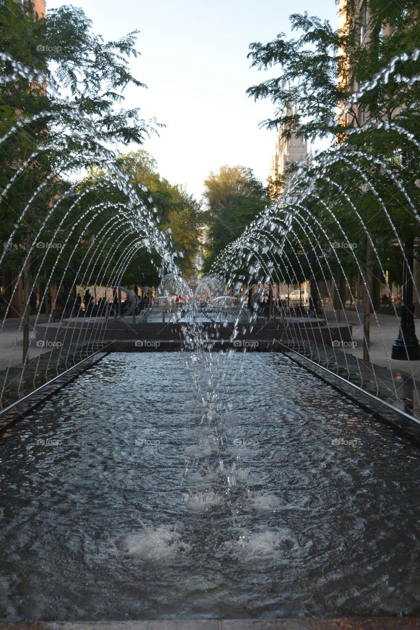 Summer Fountain 