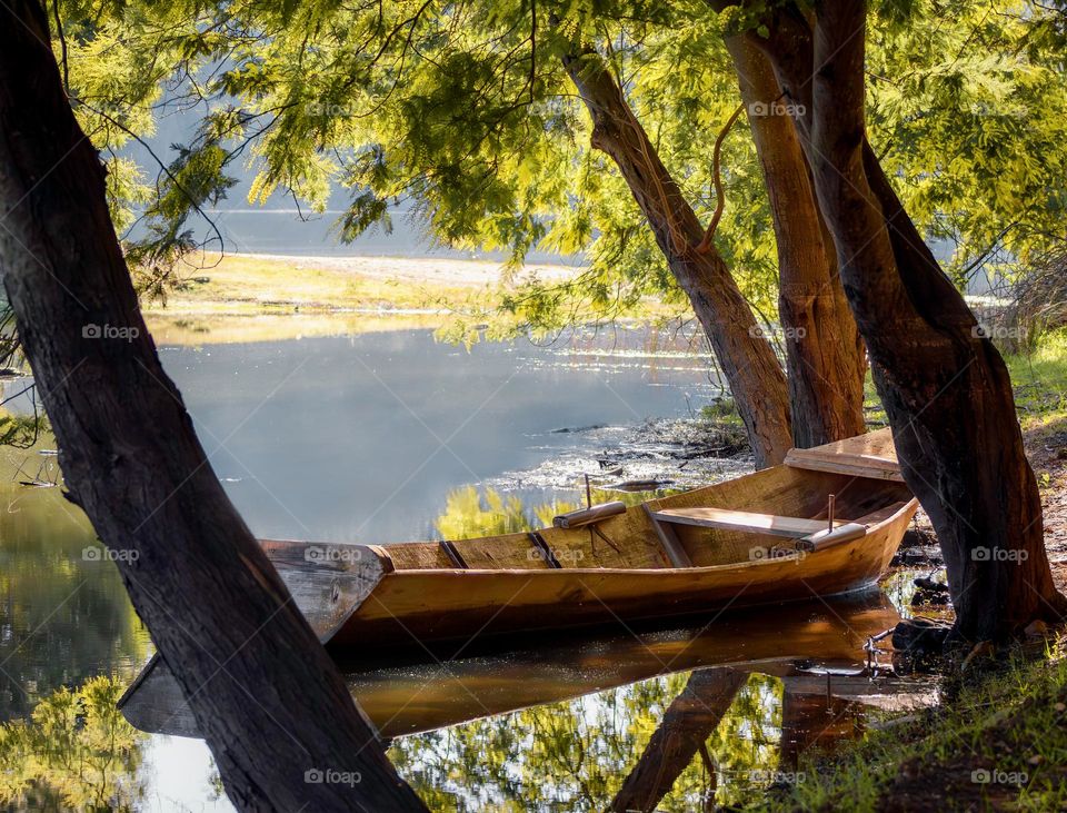 Old wooden kayak, moored under the shade of yellow mimosa trees.