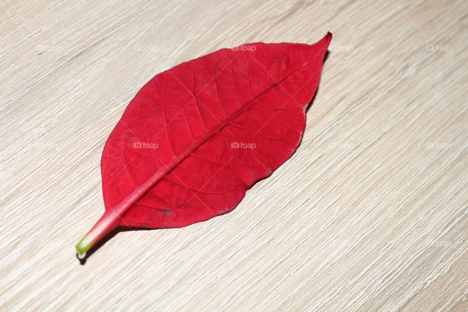 red leaf