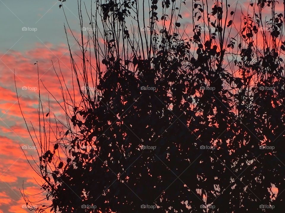 Red colored sky