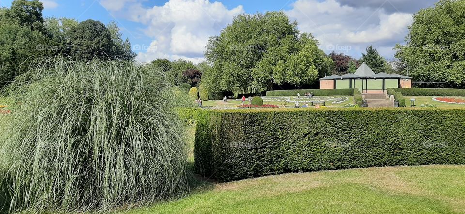 garden view in summer
