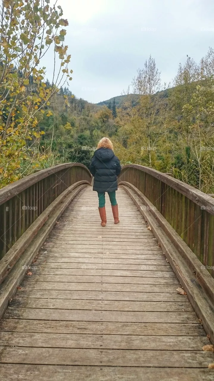 Bridge 