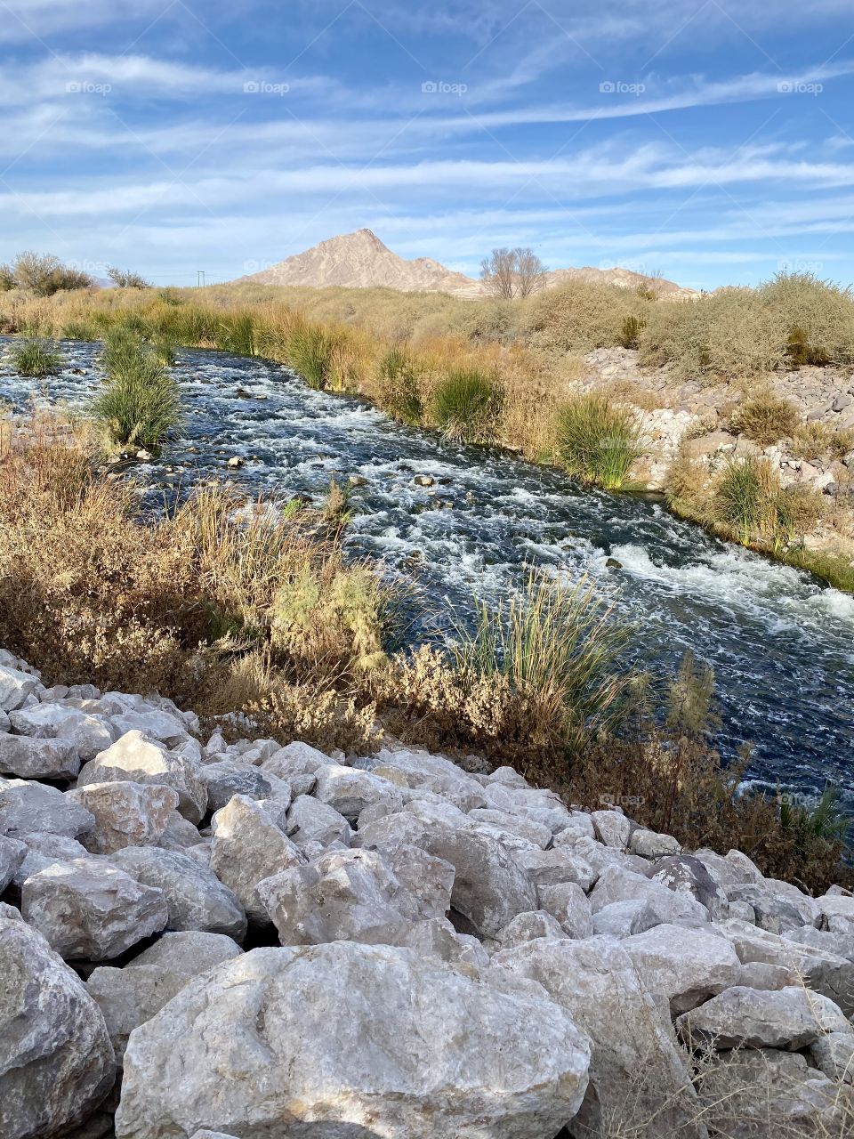Desert river 