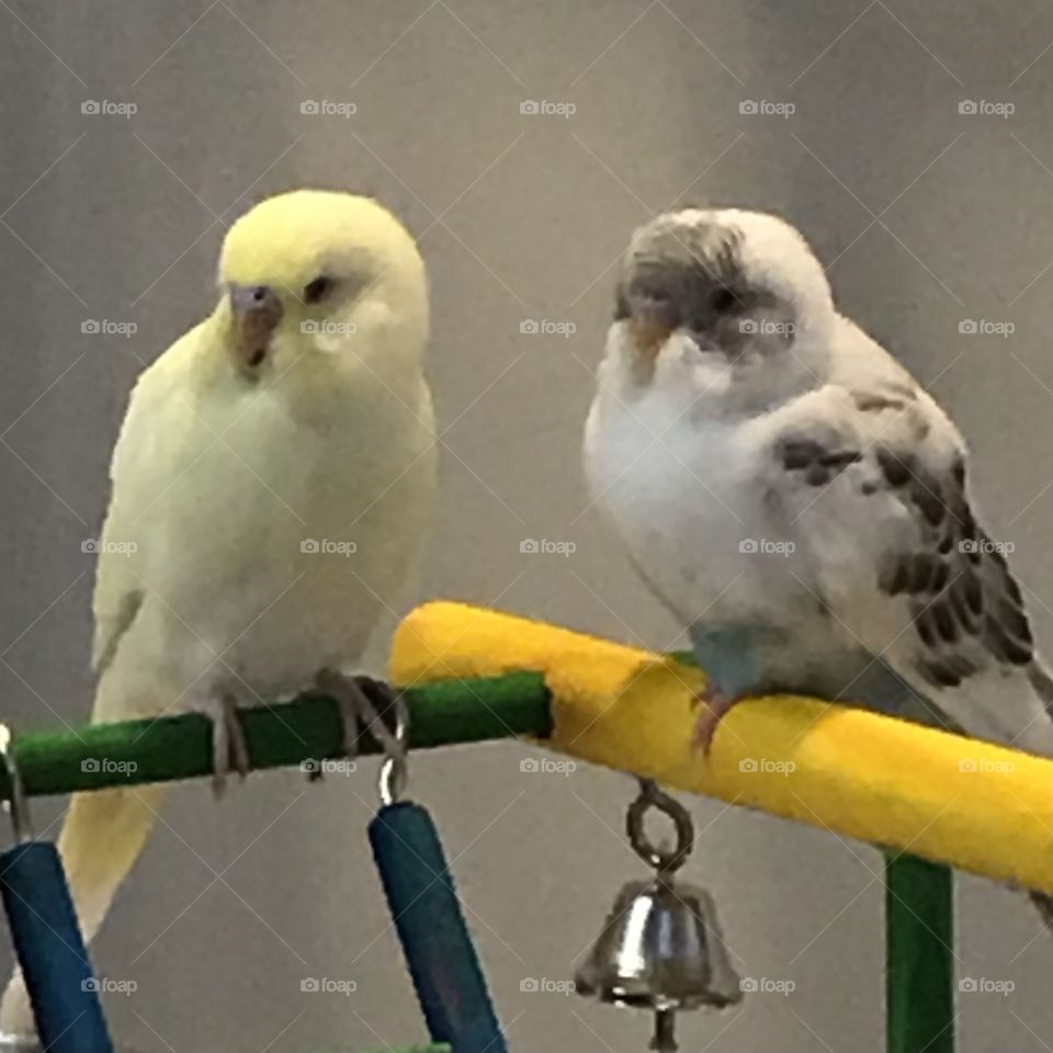 You’ve got our attention