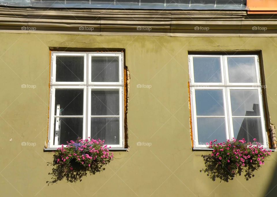 Pair of flowered Windows 