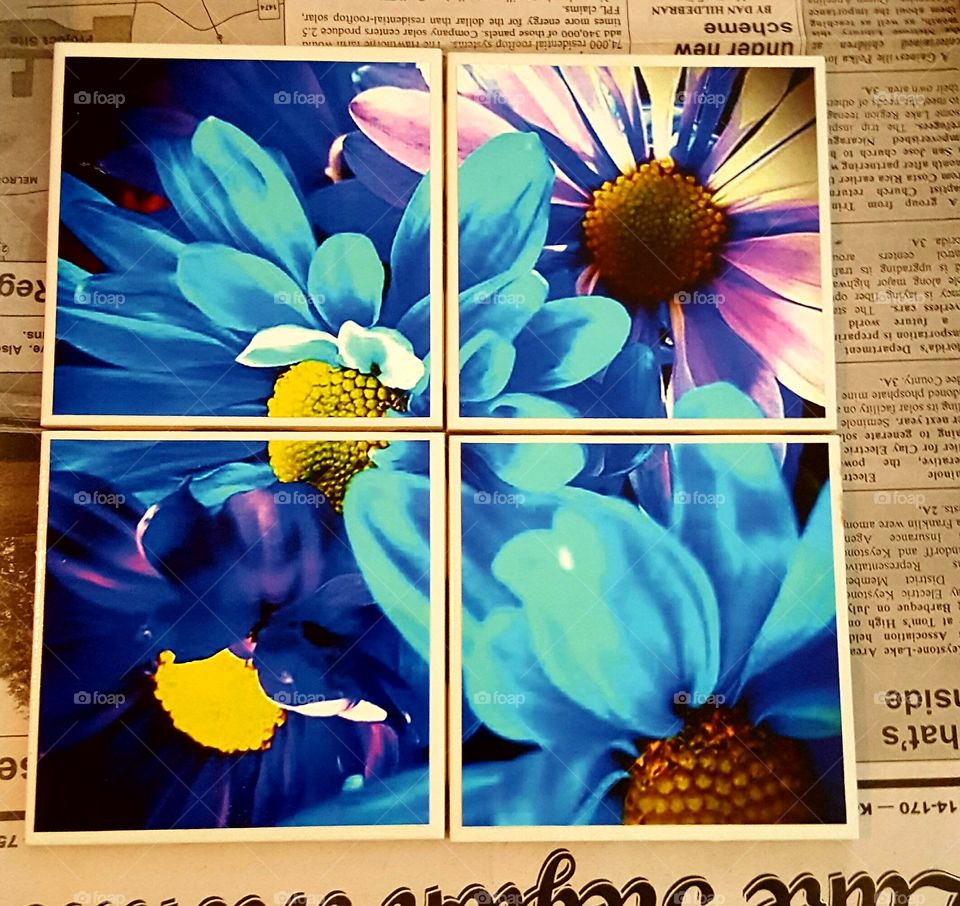 one flower photos spread out over  4 tiles