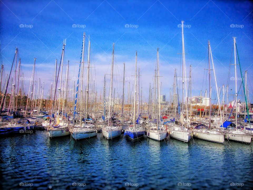 Yacht, Marina, Sea, Harbor, Sailboat