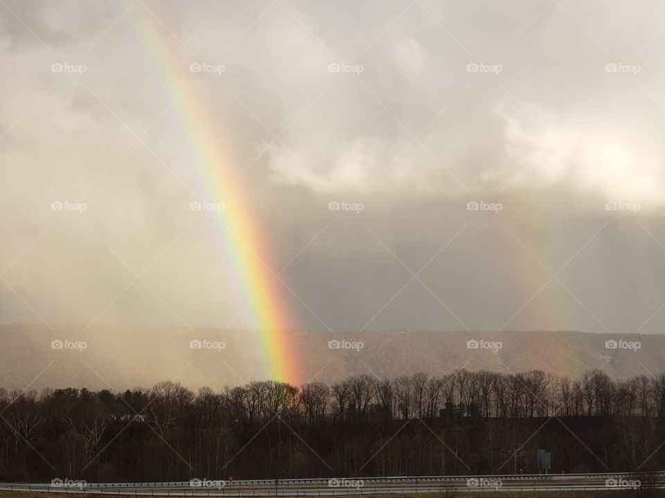 Double Rainbow