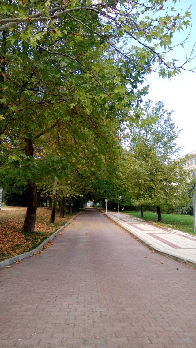 Beautiful street