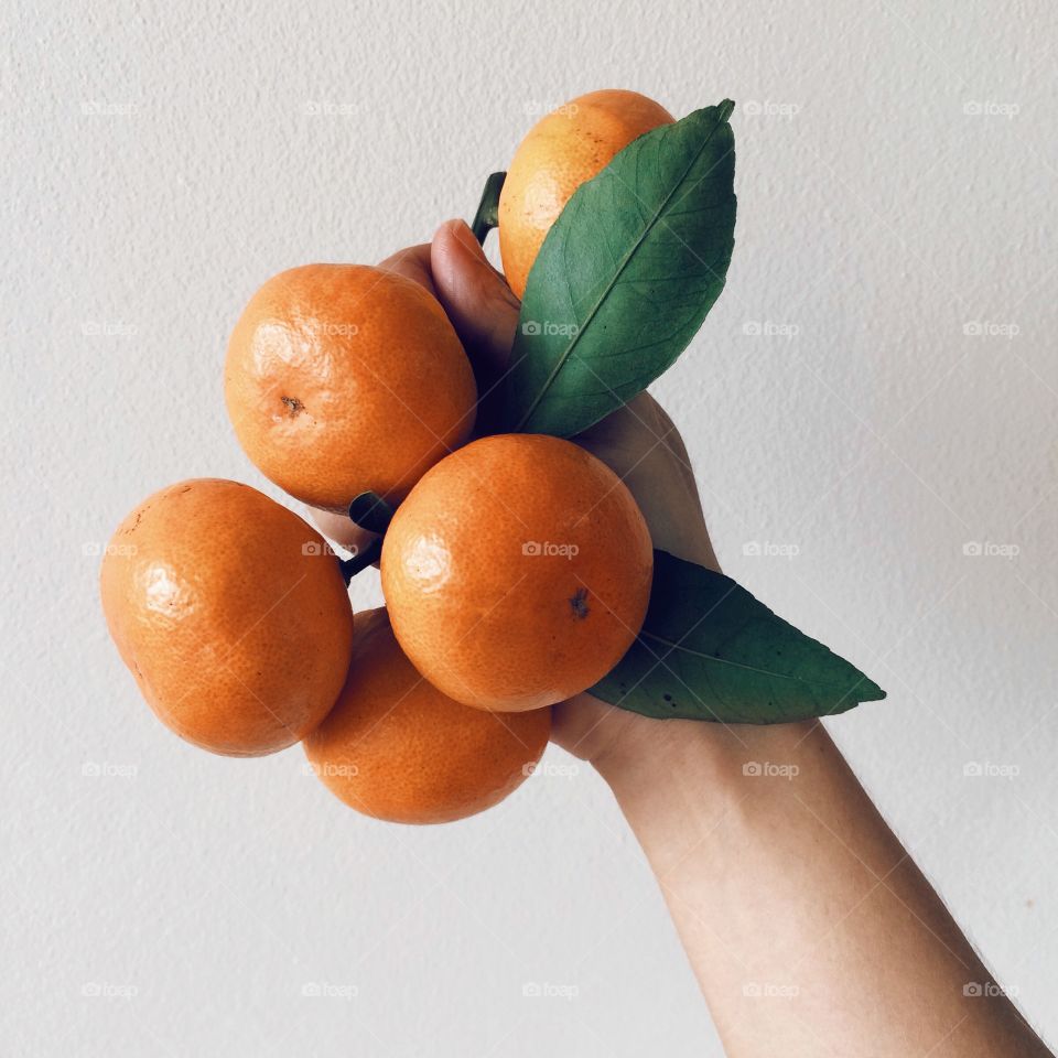 Branch of oranges in hand